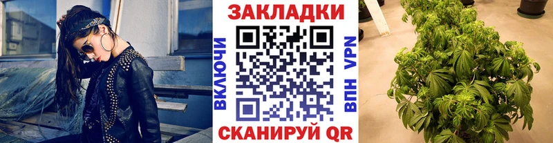 Купить закладку Cocaine  Alpha PVP  Амфетамин  Мефедрон  Гашиш  Новоалександровск