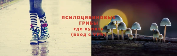 тгк Бородино