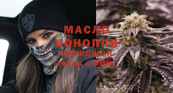 тгк Бородино