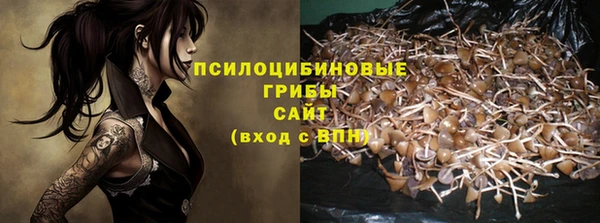 тгк Бородино
