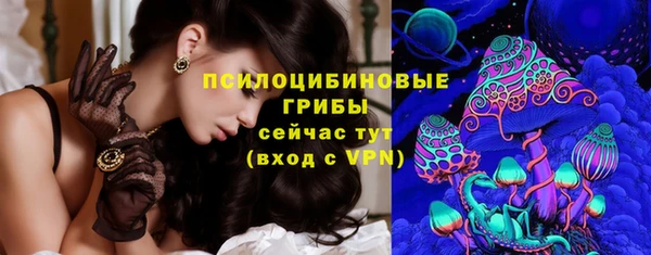 тгк Бородино