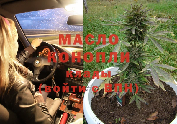 тгк Бородино
