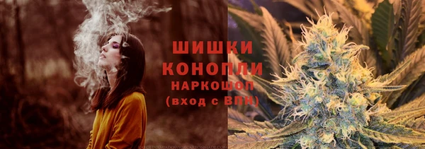 тгк Бородино