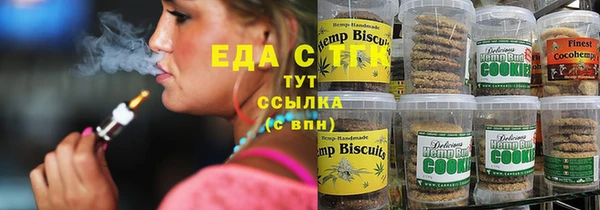 тгк Бородино